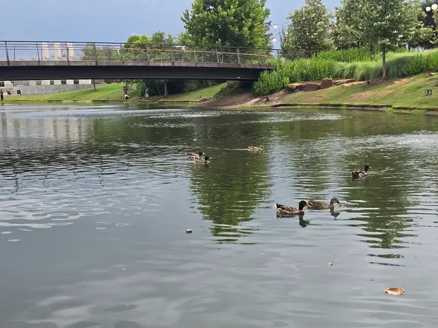 Aggie Park — customer photo 4