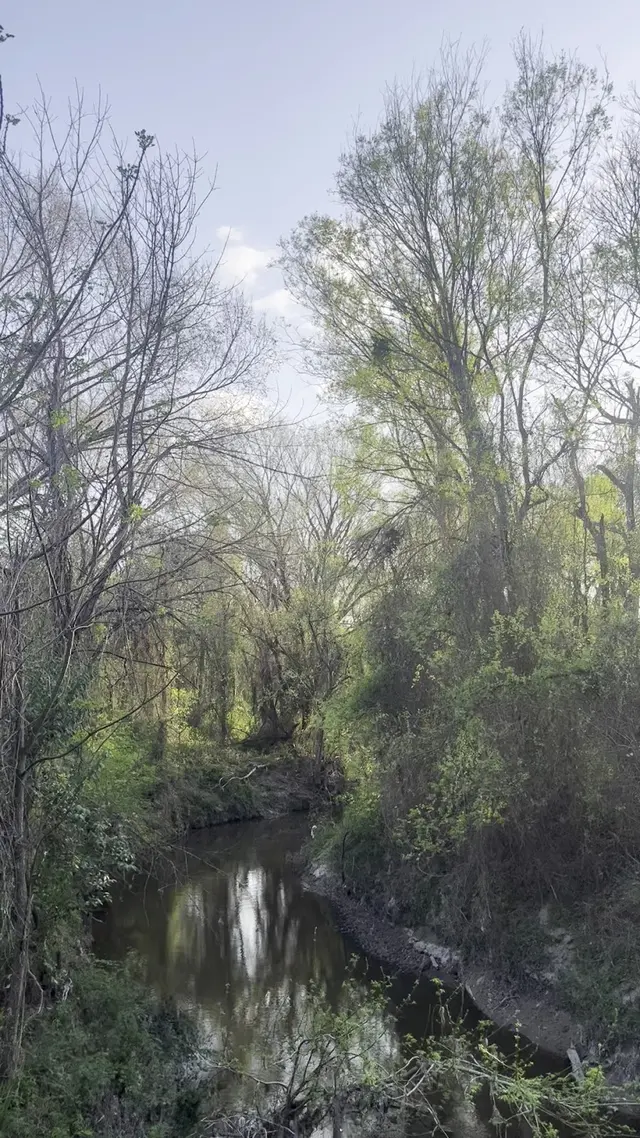 Wolf Pen Creek Park — customer photo 9