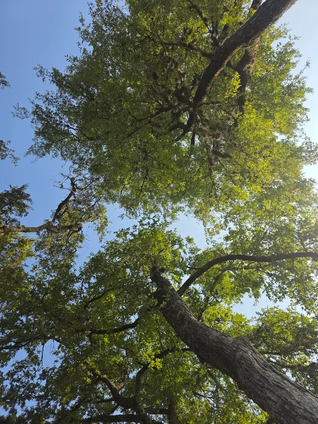 Tanglewood Park — customer photo 5