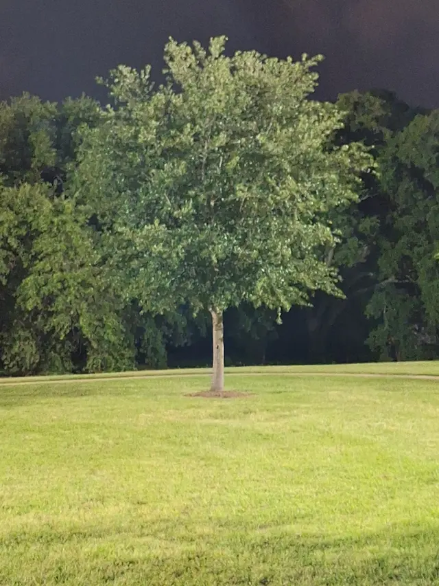 Tanglewood Park — customer photo 12