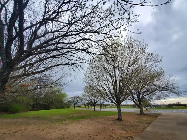 Bachmann Park — customer photo 11
