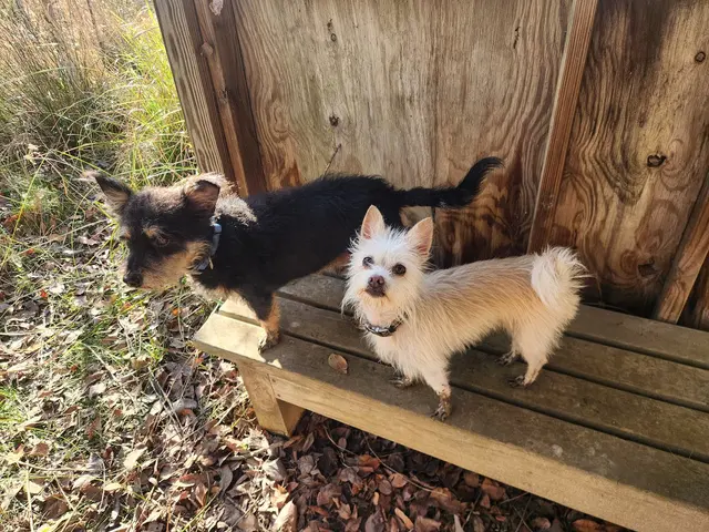 Lick Creek Park — customer photo 7