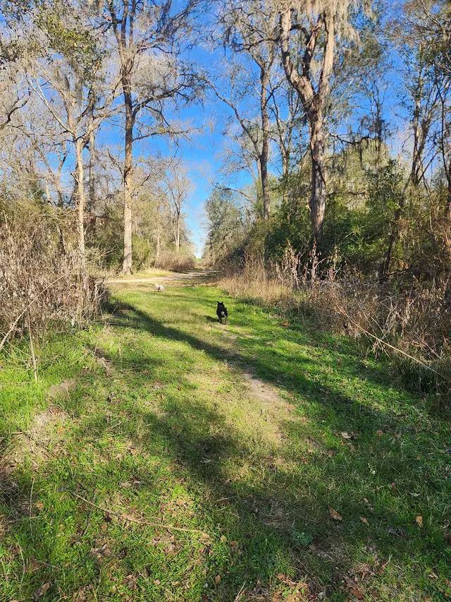 Lick Creek Park — customer photo 5