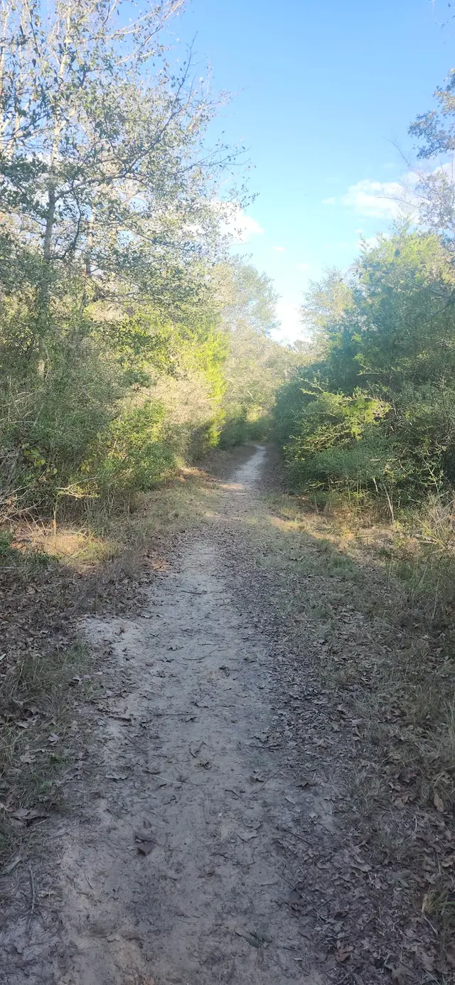 Lick Creek Park — customer photo 10