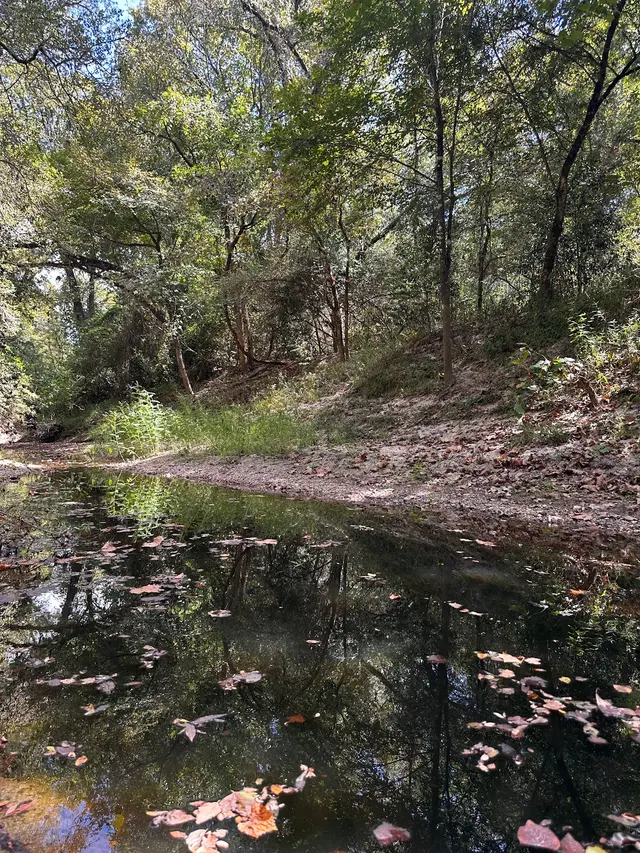 Lick Creek Park — customer photo 2