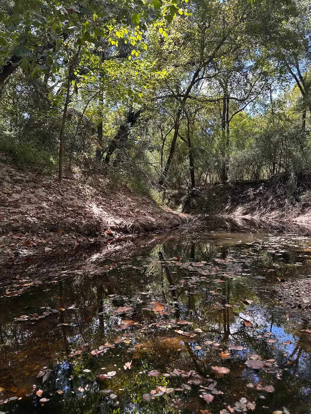 Lick Creek Park — customer photo 1