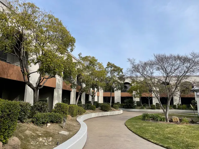 JMV Tree Services Corp — photo from the business 11