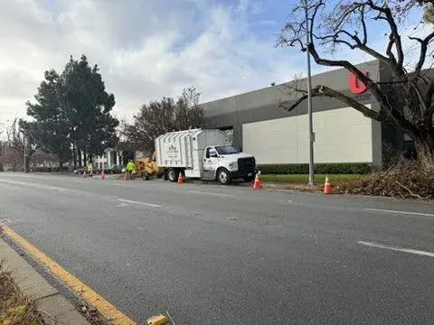 JMV Tree Services Corp — photo from the business 4