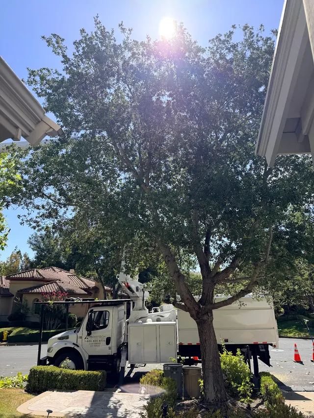 ArborTech Inc. — customer photo 4