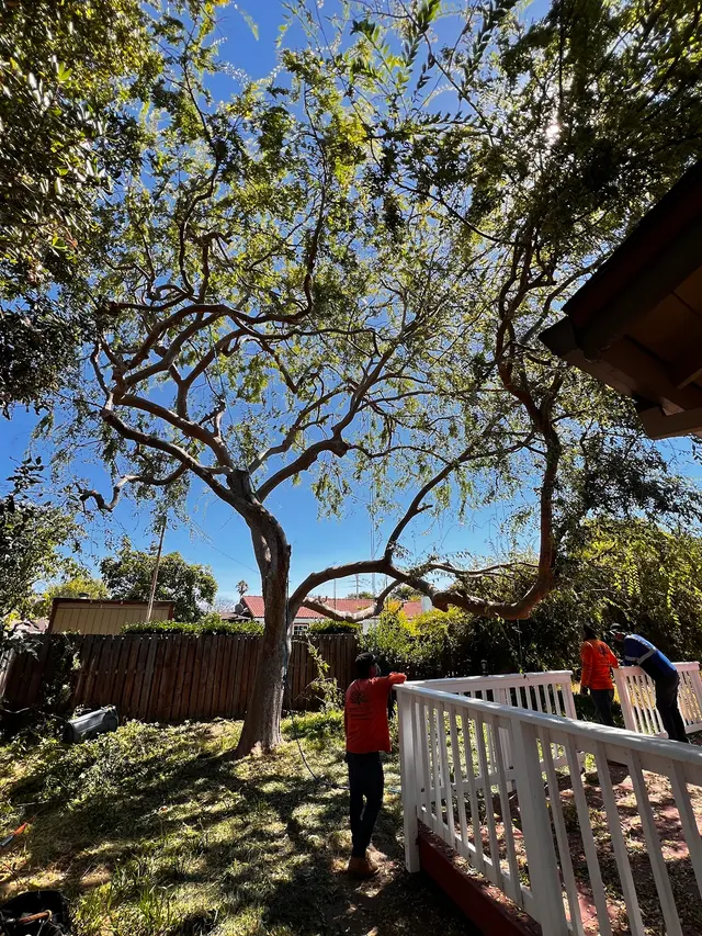 ArborTech Inc. — customer photo 10