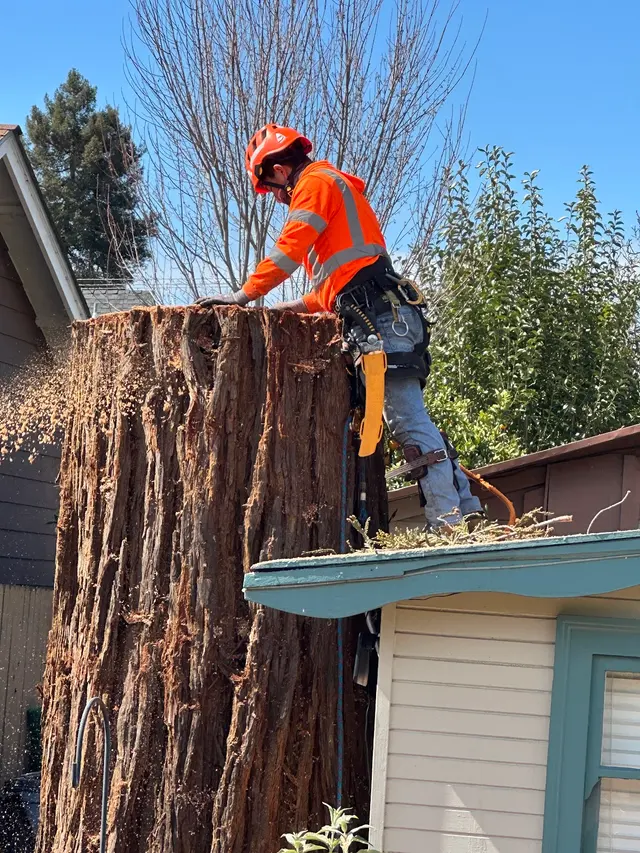 ArborTech Inc. — customer photo 7