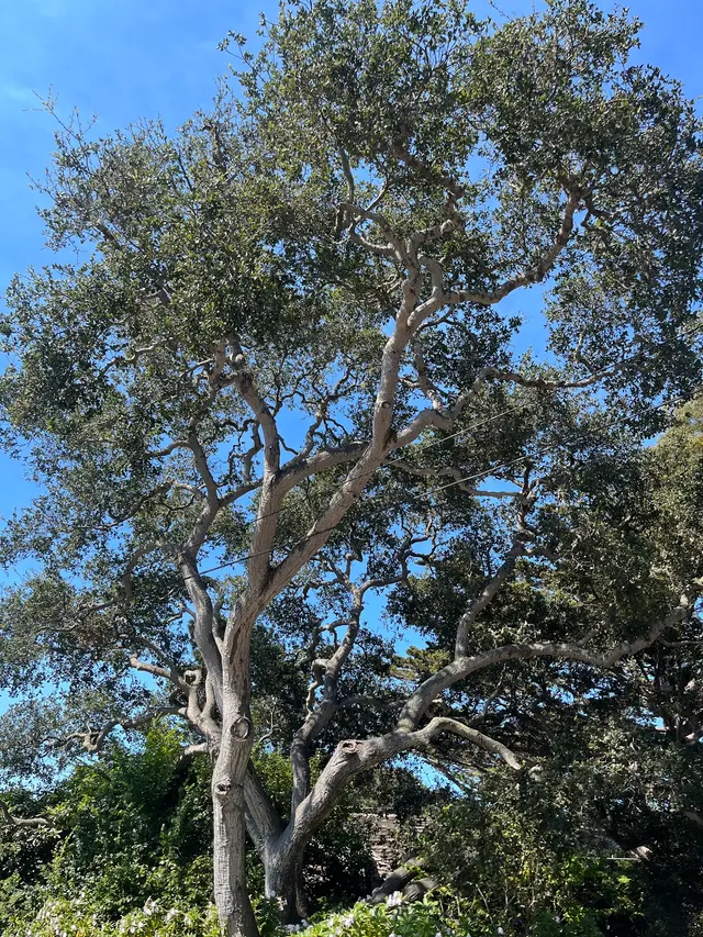 ArborTech Inc. — customer photo 1