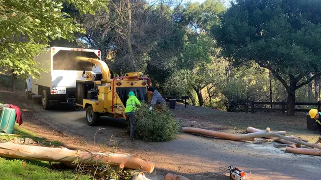 ArborTech Inc. — photo from the business 3