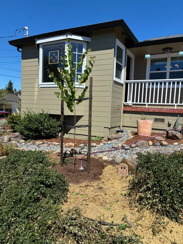 ArborTech Inc. — customer photo 11