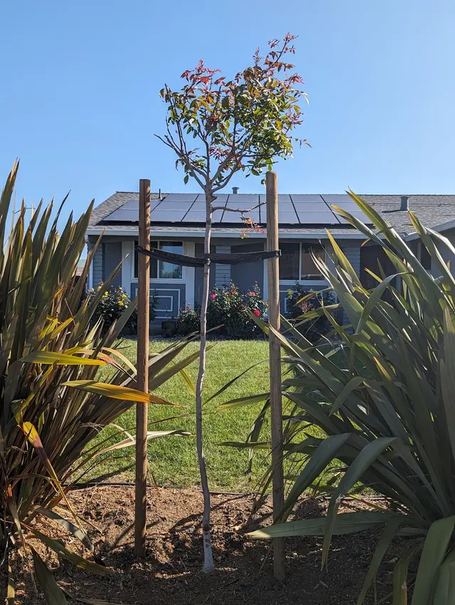 ArborTech Inc. — customer photo 9