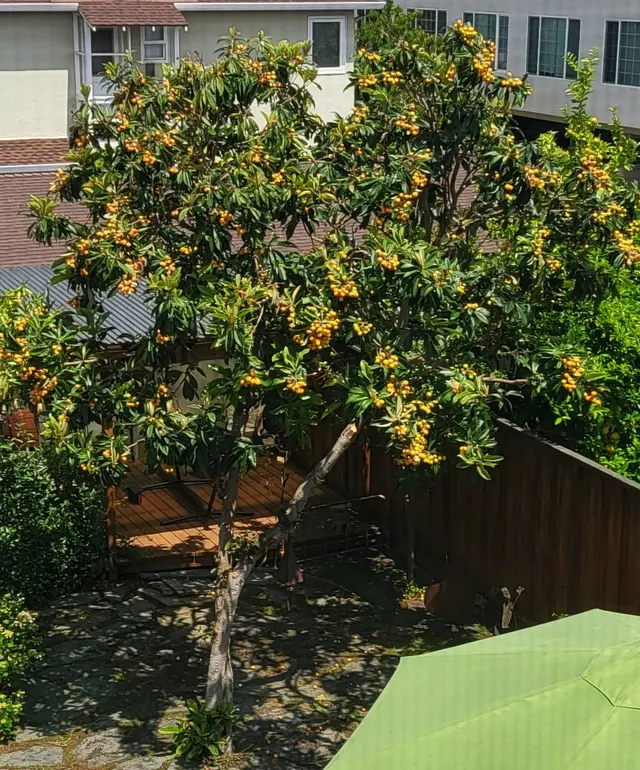 EC Tree Service Inc — customer photo 3