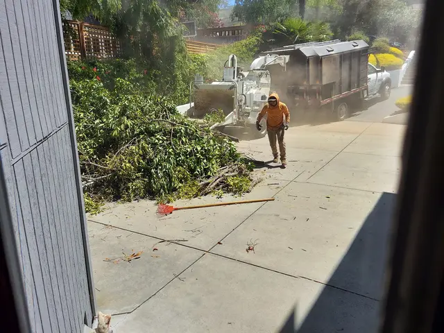 EC Tree Service Inc — customer photo 4
