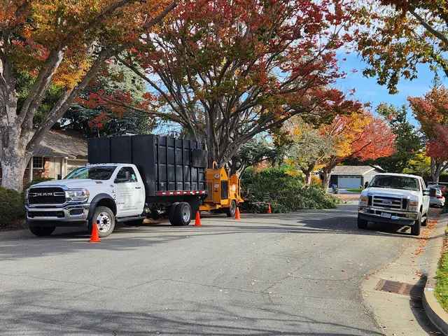 EC Tree Service Inc — customer photo 2