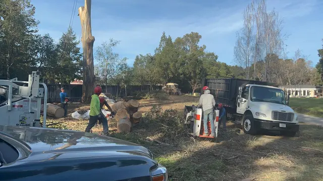 EC Tree Service Inc — photo from the business 11