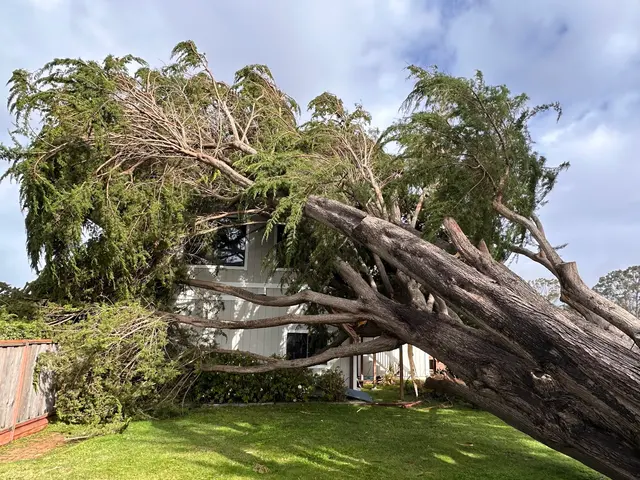 EC Tree Service Inc — customer photo 10