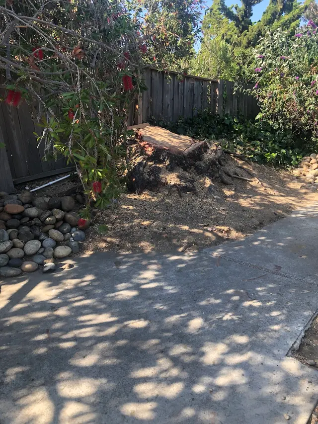 EC Tree Service Inc — customer photo 5