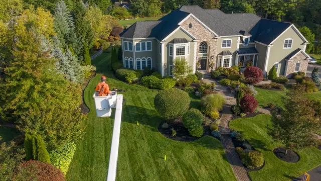 SavATree - Tree Service — photo from the business 8