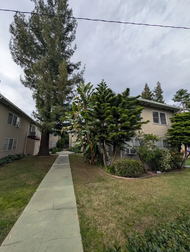 SavATree - Tree Service — customer photo 5