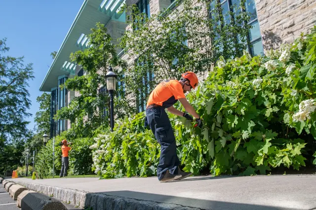 SavATree - Tree Service — photo from the business 10