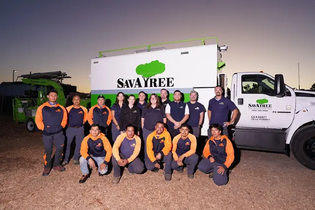 SavATree - Tree Service — photo from the business 1