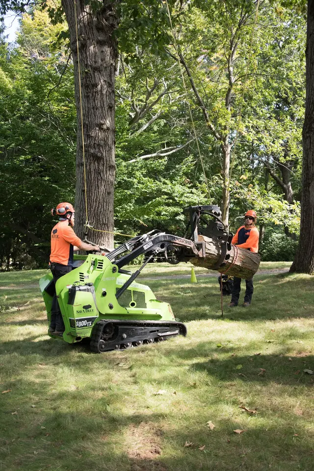 SavATree - Tree Service — photo from the business 9