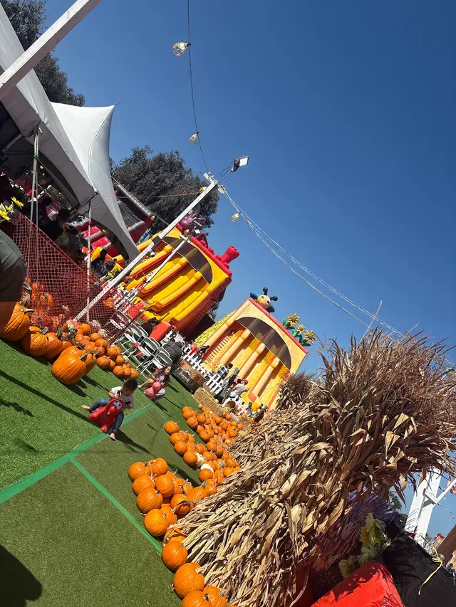 ABC Tree Farms Summer Fun Zone, Pumpkin Patch & Christmas Trees — customer photo 7
