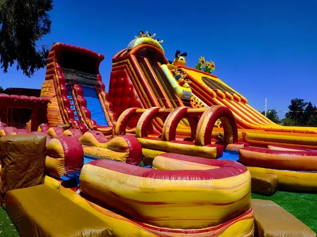 ABC Tree Farms Summer Fun Zone, Pumpkin Patch & Christmas Trees — photo from the business 1