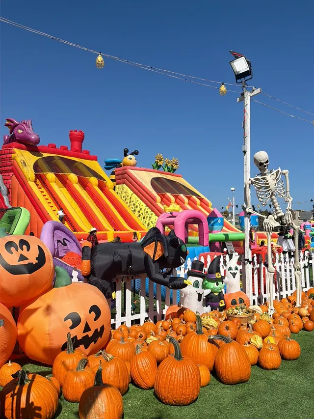 ABC Tree Farms Summer Fun Zone, Pumpkin Patch & Christmas Trees — customer photo 3