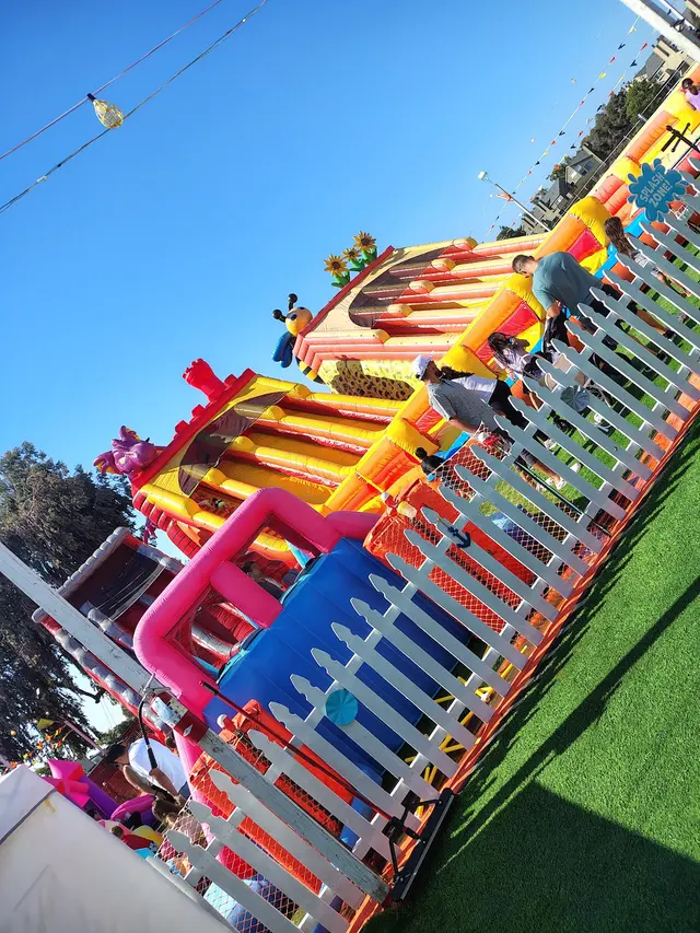 ABC Tree Farms Summer Fun Zone, Pumpkin Patch & Christmas Trees — customer photo 6