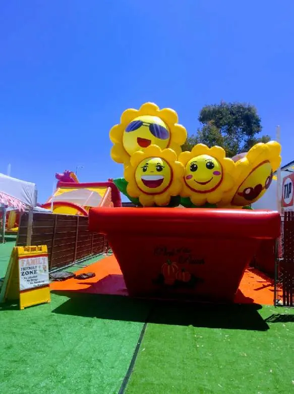 ABC Tree Farms Summer Fun Zone, Pumpkin Patch & Christmas Trees — photo from the business 5