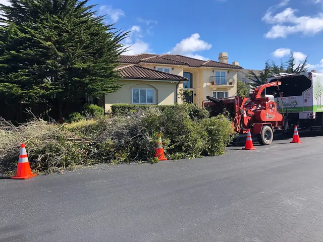 Monster Tree Service of the Coast — photo from the business 8