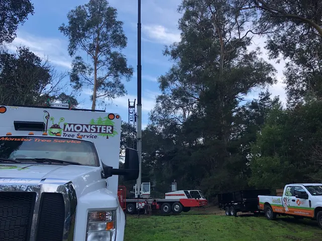 Monster Tree Service of the Coast — photo from the business 10