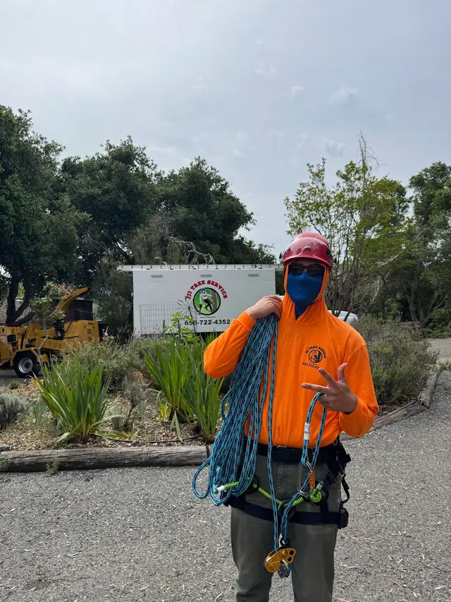 JJI Tree Service — photo from the business 10