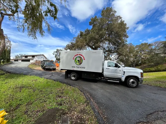 JJI Tree Service — photo from the business 3