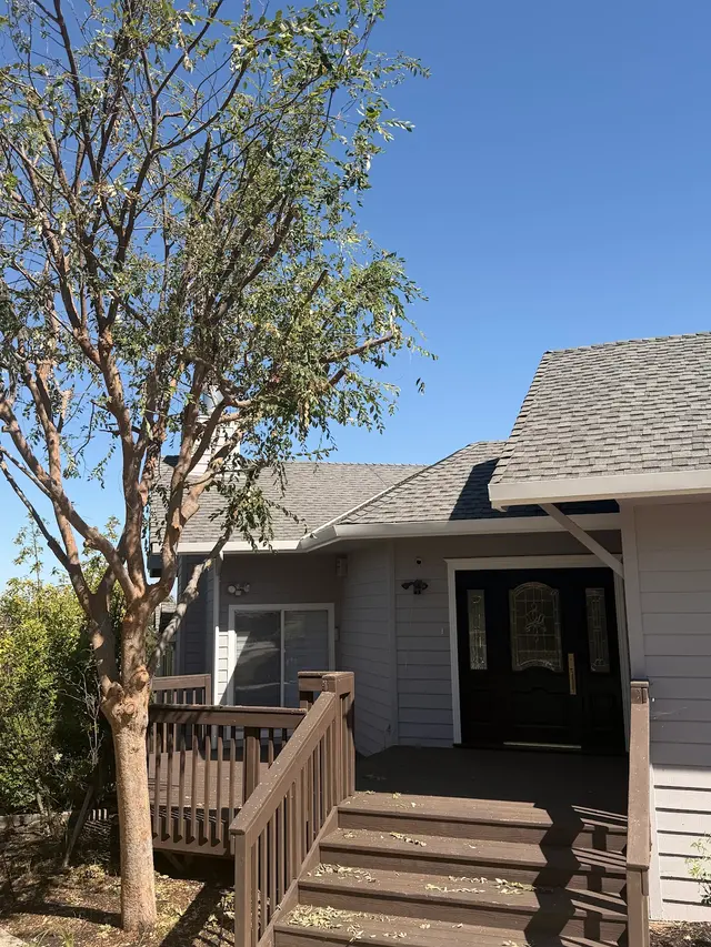 JJI Tree Service — customer photo 5