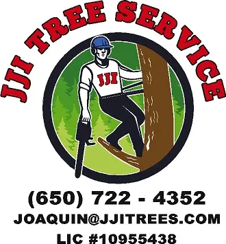 JJI Tree Service — photo from the business 12