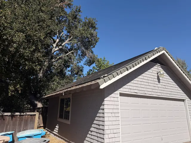 JJI Tree Service — customer photo 1