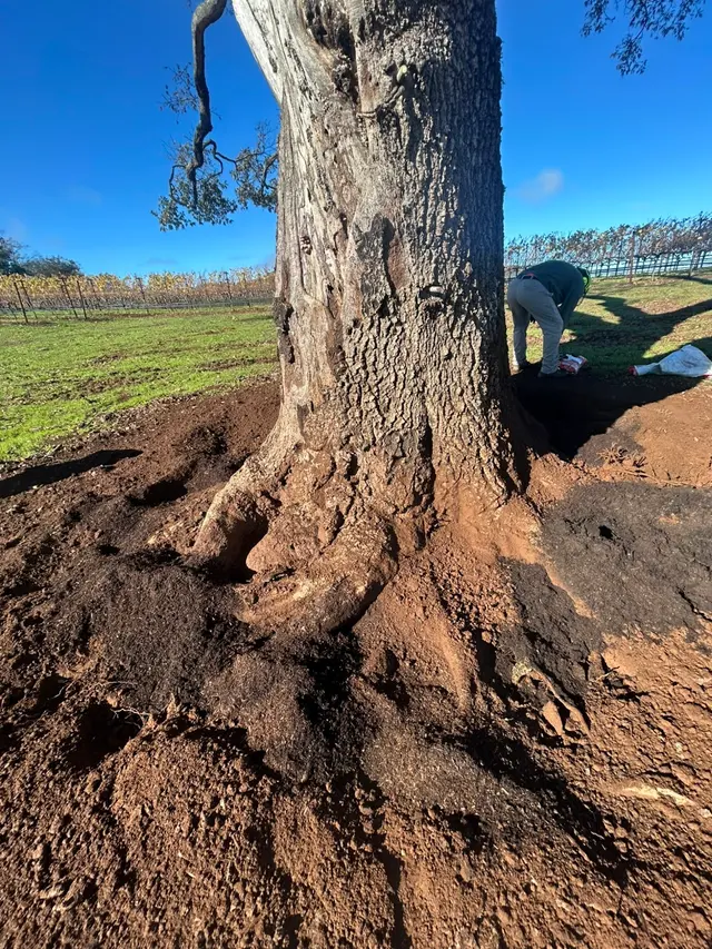 MATHEY TREE CARE — photo from the business 3