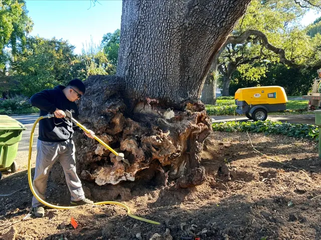 MATHEY TREE CARE — photo from the business 6