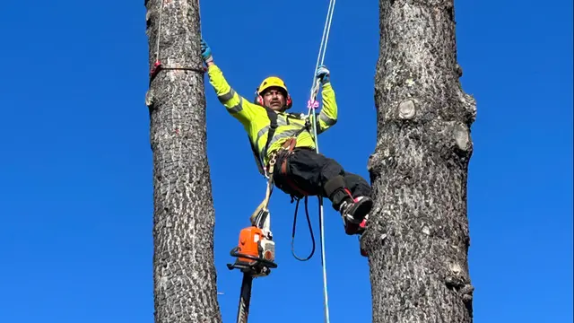 MATHEY TREE CARE — photo from the business 1