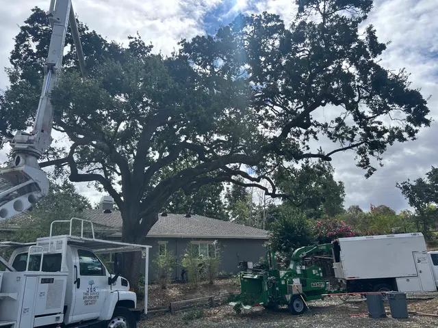MATHEY TREE CARE — photo from the business 9
