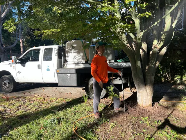 MATHEY TREE CARE — photo from the business 7