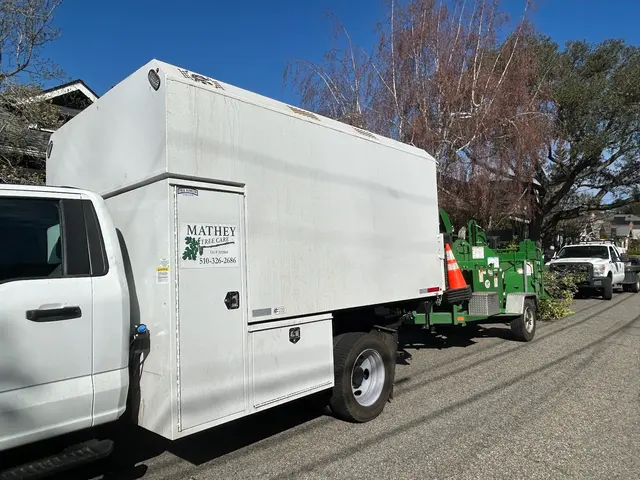 MATHEY TREE CARE — photo from the business 8