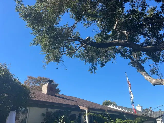 Customer photo of work by MATHEY TREE CARE, from G. Stein's review