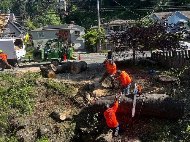 MATHEY TREE CARE — photo from the business 12